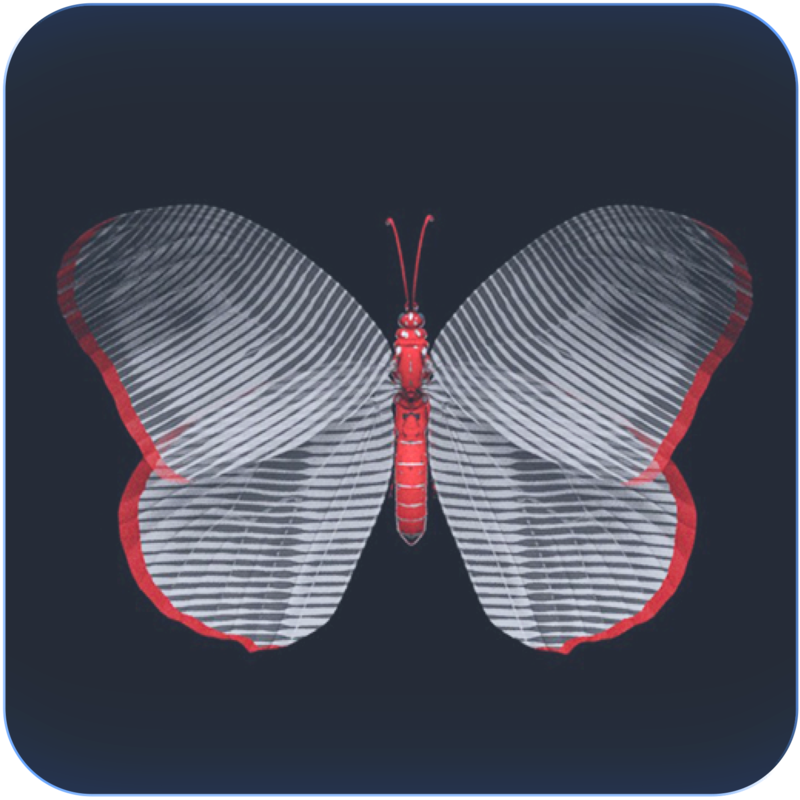 Hologram by Andrea Crespi