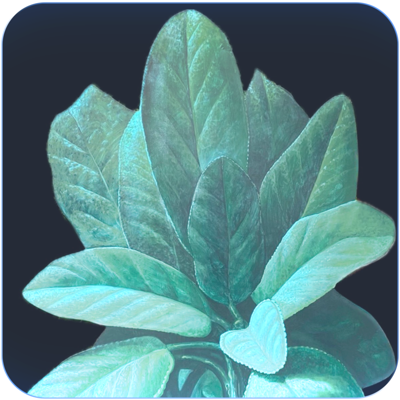 Hologram by Vanni Cuoghi